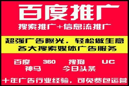 SEM竞价代运营实战技巧与案例